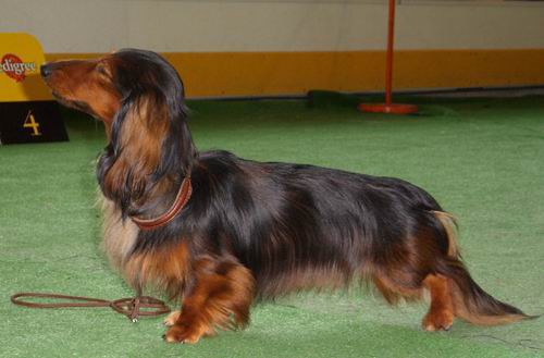 foto: Dorota Masiewicz