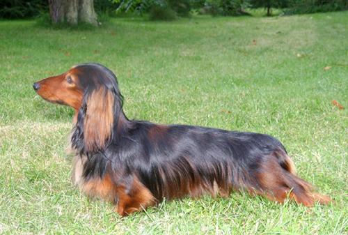 foto: Anna Koz�owska