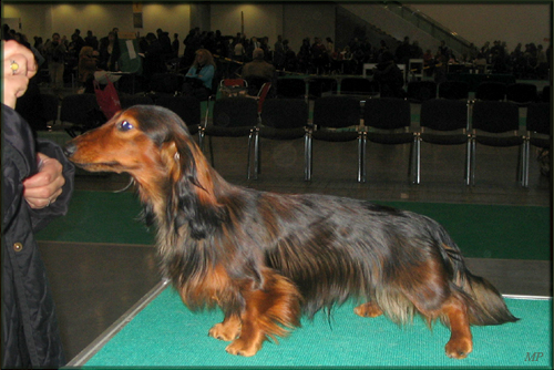 �wiatowa Wystawa w Poznaniu 2006r - LANCELOT 1rok