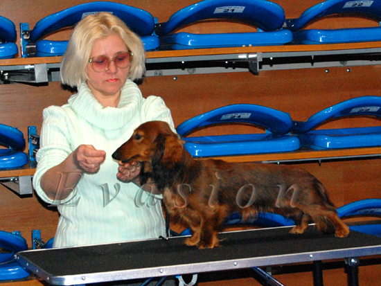 Evasion MIRABELL 8 mcy foto : Anna Koz�owska