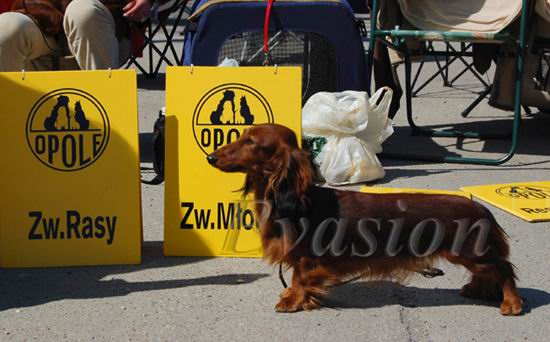 Evasion MIRABELL 9 mcy foto : Dorota Kasperkiewicz Bryndal