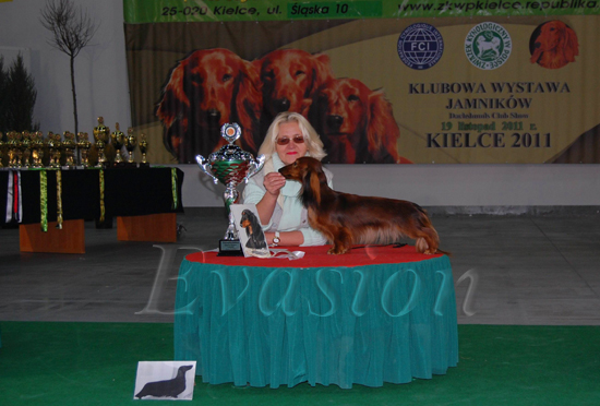 ZWYCIʯCA KLUBU JAMNIKA Evasion MIRABELL