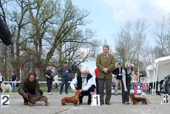 SERBIA - SMEDEREVSKA PALANKA - judge: Stefan Stefik - foto: Grzegorz Kufel