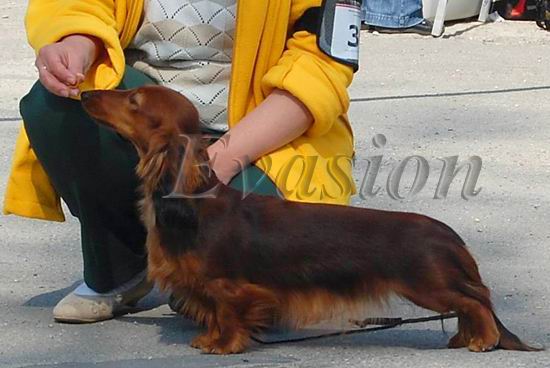 Evasion MIRABELL 9 mcy foto : Jolanta Krzeska