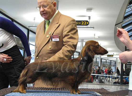 Evasion MIRABELL 9 mcy foto : Dorota Masiewicz