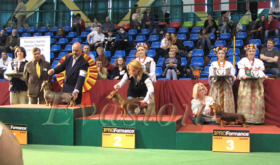 Evasion MIRABELL &nbsp; foto: Dorota Masiewicz