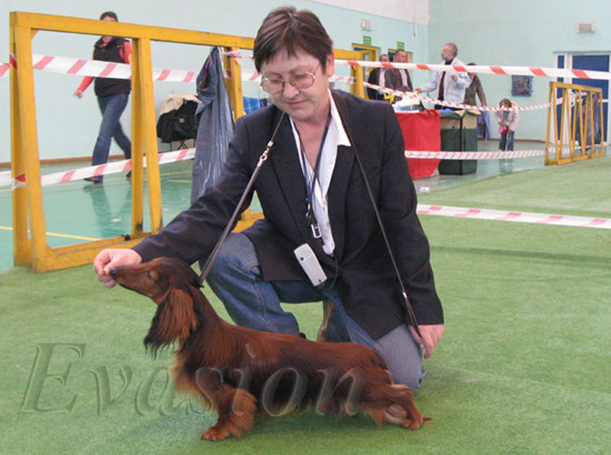 foto : Dorota Masiewicz