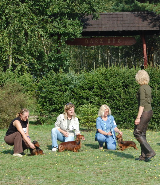 foto : Dariusz Karasek