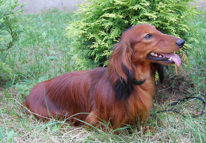 foto: Lucyna Pasierbek