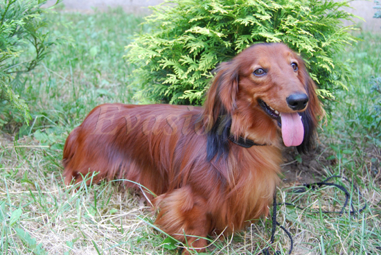 foto : Lucyna Pasierbek