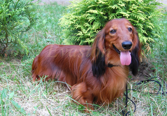 foto : Lucyna Pasierbek