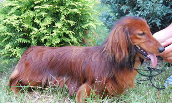 foto : Lucyna Pasierbek