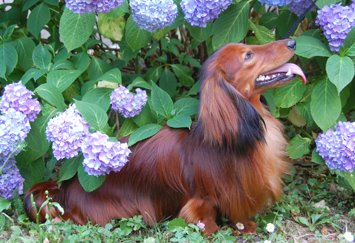 foto: Lucyna Pasierbek