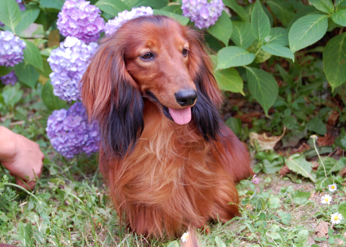 foto: Lucyna Pasierbek