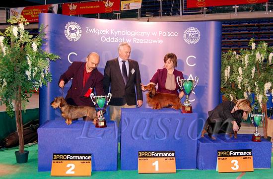 Evasion PAVAROTTI Best of Group &nbsp; foto: Lucyna Pasierbek