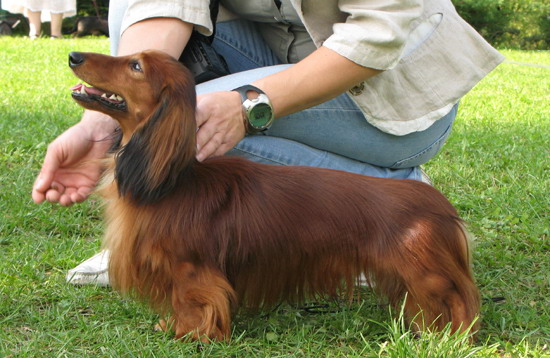 foto: Dorota Masiewicz