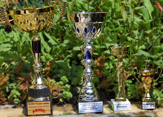 foto: Dorota Kasperkiewicz Bryndal