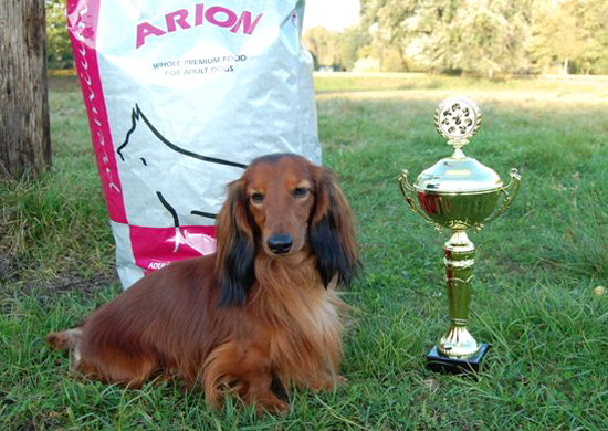 foto: Dorota Kasperkiewicz Bryndal