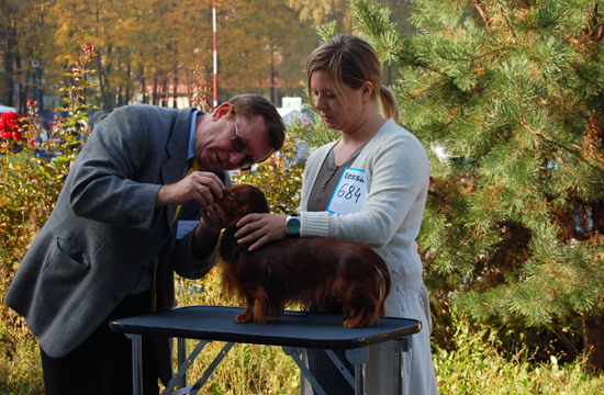 foto: Dorota Kasperkiewicz Bryndal