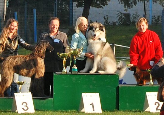 foto: Dorota Kasperkiewicz Bryndal