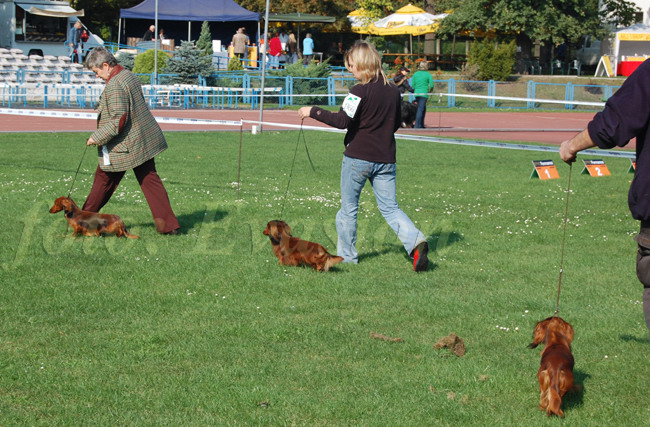 foto: Lucyna Pasierbek