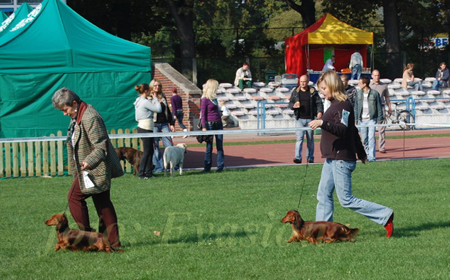 foto: Lucyna Pasierbek