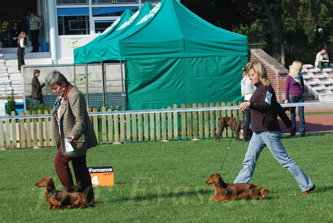 foto: Lucyna Pasierbek