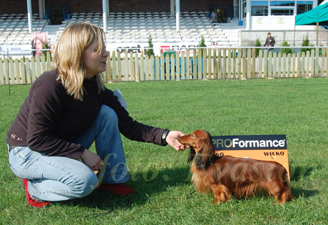 foto: Lucyna Pasierbek