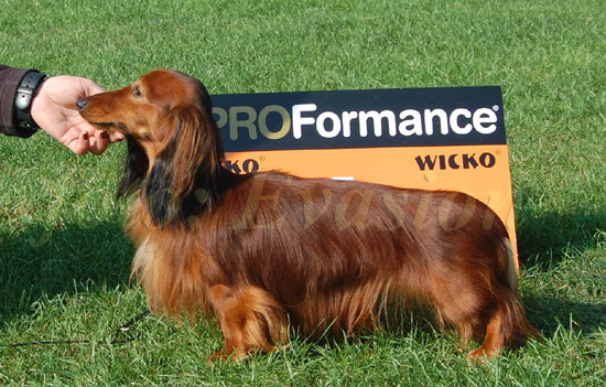 foto: Lucyna Pasierbek