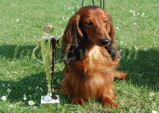 foto: Lucyna Pasierbek