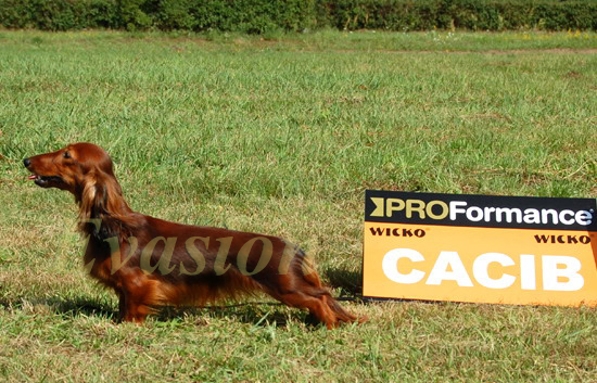 foto: Dariusz Karasek