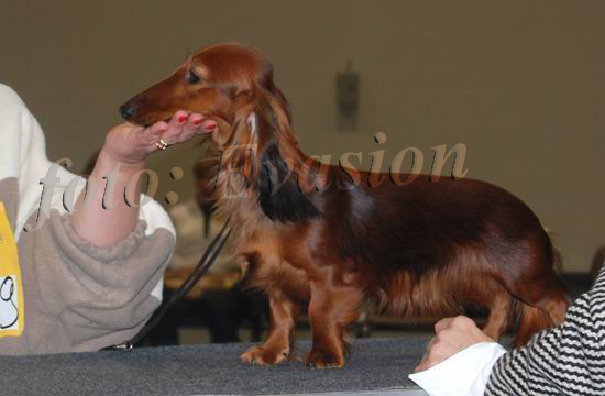 foto : Anna Koz�owska