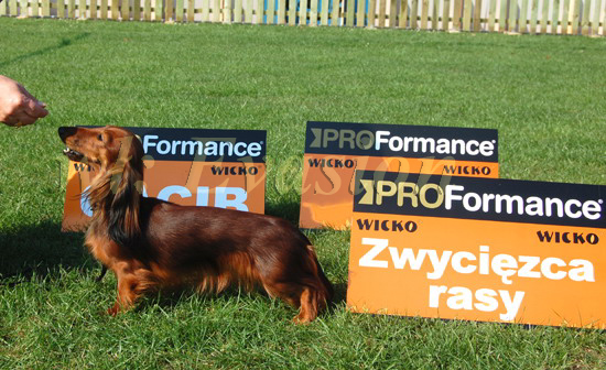 foto : Dorota Kasperkiewicz-Bryndal