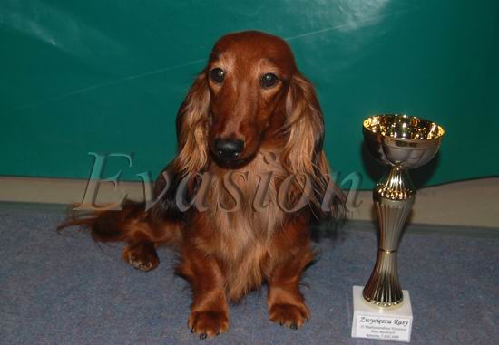 foto:Lucyna Pasierbek