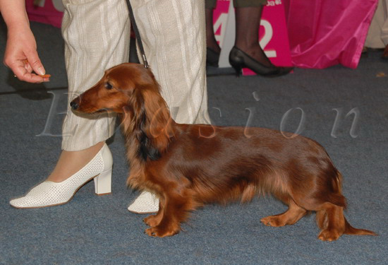 foto : Dariusz Karasek