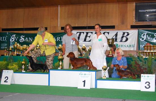 foto : Anna Koz�owska