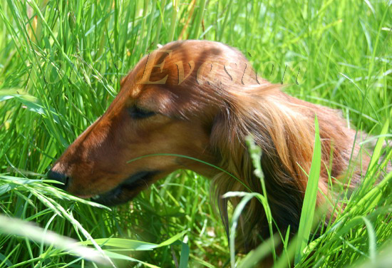 foto: Lucyna Pasierbek