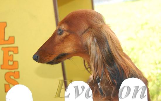 foto : Lucyna Pasierbek