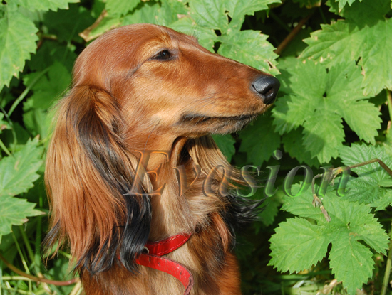 foto: Lucyna Pasierbek