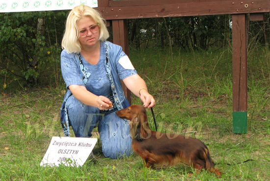 foto : Dorota Masiewicz