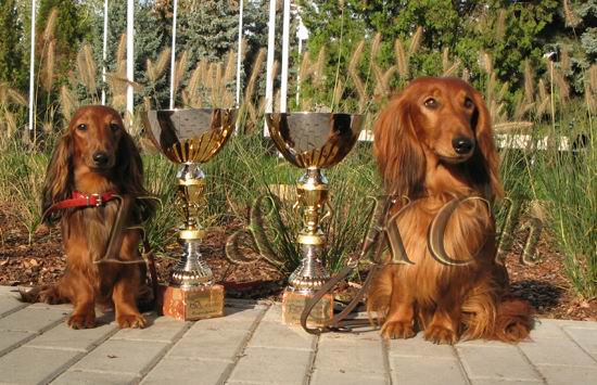 EUROPEAN WINNER'S - Evasion VANESSA i AD�ANTA z Kasztanowej Chatki