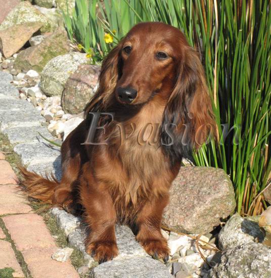 foto: Dorota Masiewicz