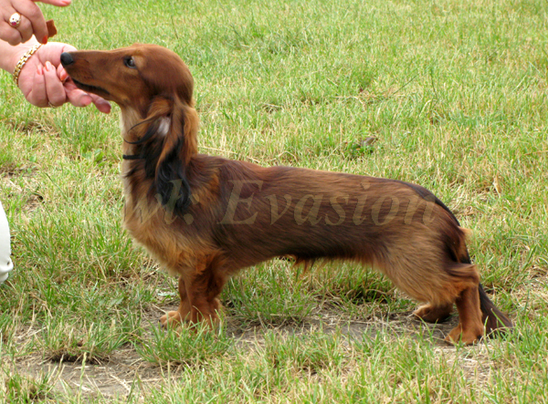 foto: Dorota Masiewicz