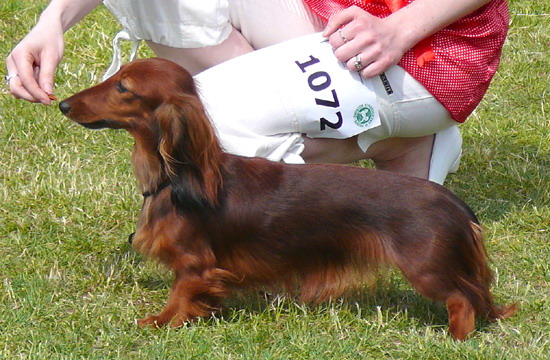 foto : Ina Ma�ecka