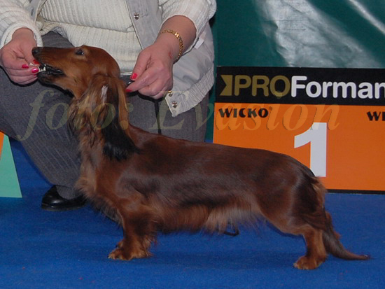 foto : Dorota Kasperkiewicz-Bryndal