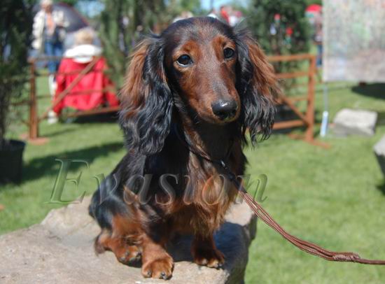 foto : Lucyna Pasierbek 