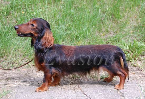 foto : Lucyna Pasierbek 