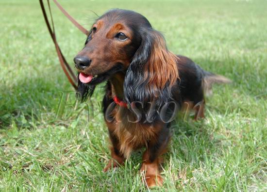 foto : Lucyna Pasierbek 