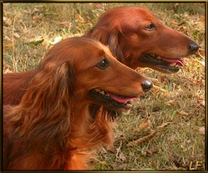 foto Lenka Fairaislova