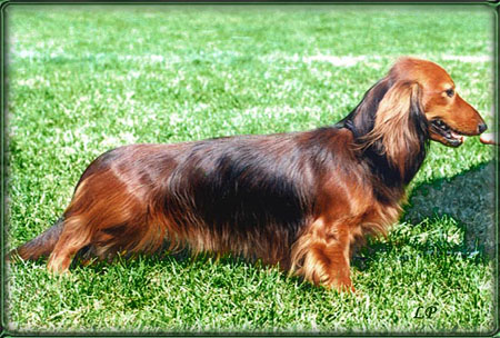 Rzeszów - 18 miesięcy